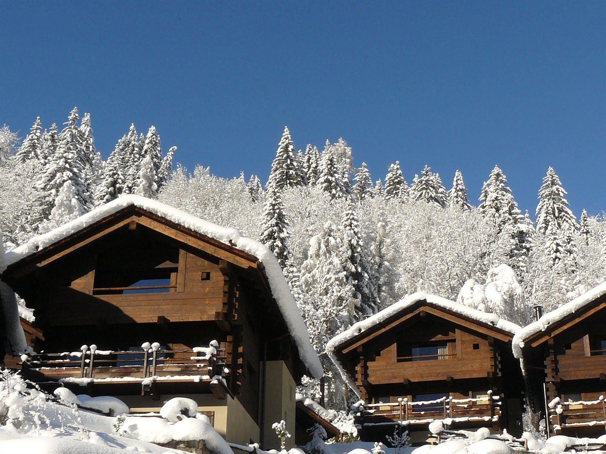 Les Granges D'En Haut - Chamonix Les Houches Exterior foto